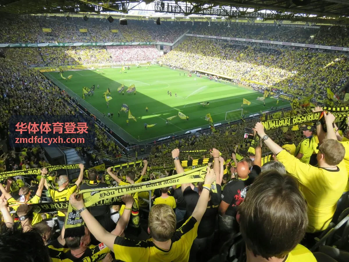 华体体育登录登录指南入口说明